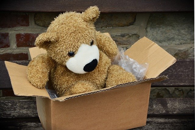 medvěd v krabici.jpg